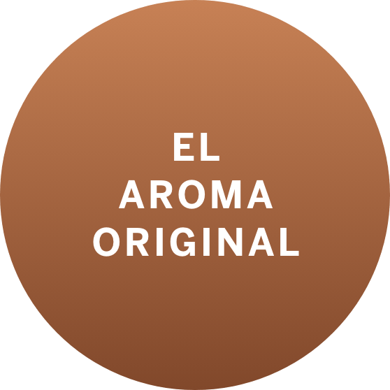 El Aroma original | Bare Vanilla | Victoria's Secret Beauty Chile