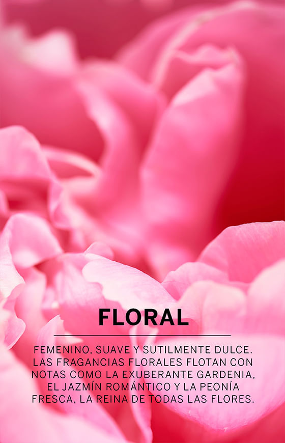 Fragancias Florales | Victoria Secret Chile
