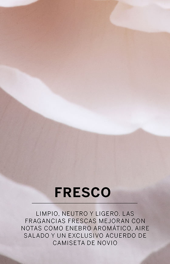 Fragancias Frescas | Victoria Secret Chile
