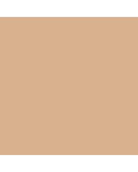 Panty Thong No Show Beige